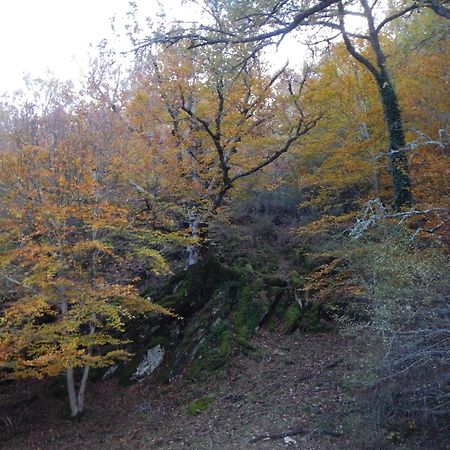 Pradena del Rincon Alojamiento Rural Fuente Del Arca מראה חיצוני תמונה